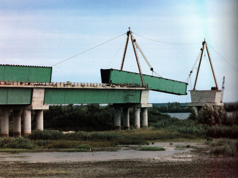 S.S. n. 309 - Ponte sul Po a Contarina - opera realizzata