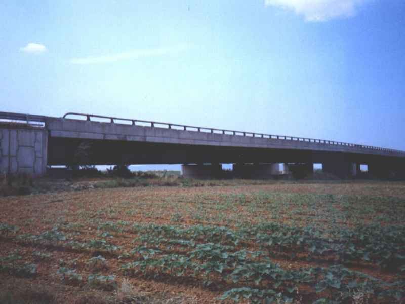 Viadotti della S.G.C. FiPiLi - lotti  1A�, 2A� (LI) - luce tipica 50 m sviluppo totale 14.36 km - opera realizzata